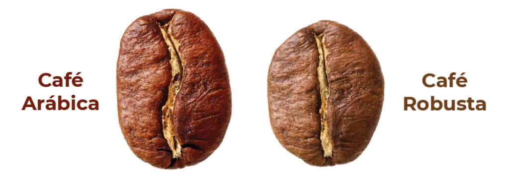 Cafe en grano