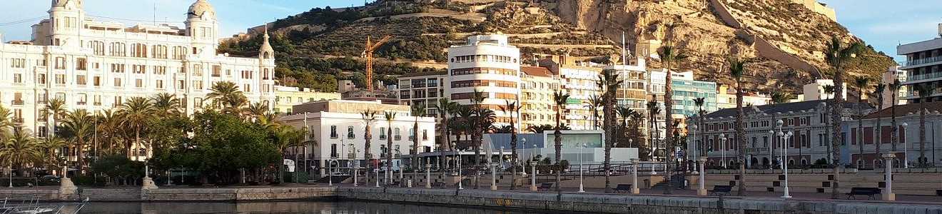 Café de especialidad Alicante