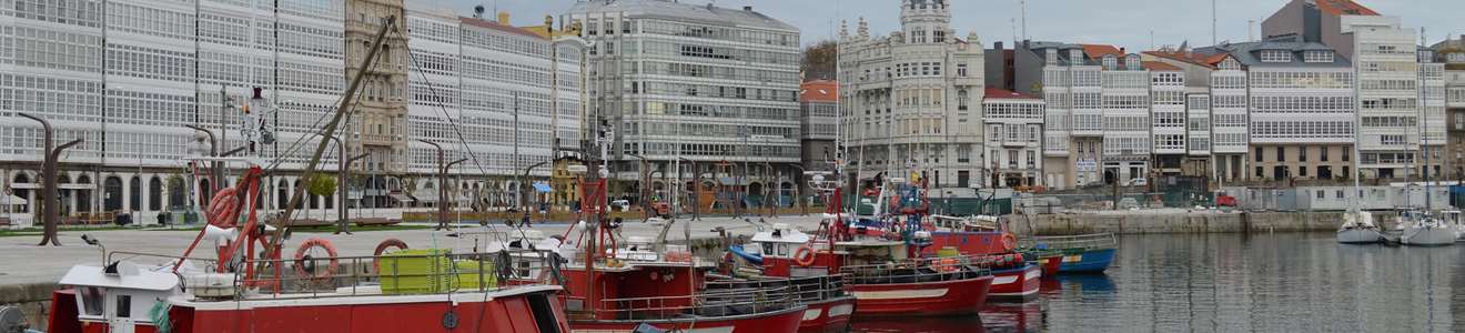Café de especialidad en A Coruña